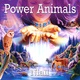 Síla zvířat / Power Animals